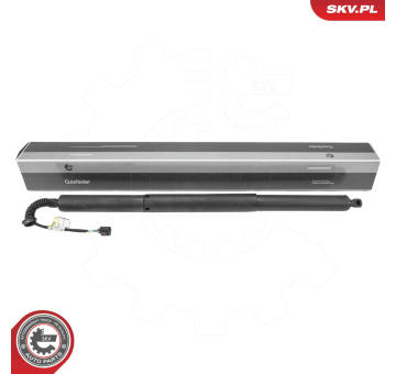 Elektromotor, zadní dveře ESEN SKV 52SKV236