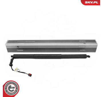 Elektromotor, zadní dveře ESEN SKV 52SKV248