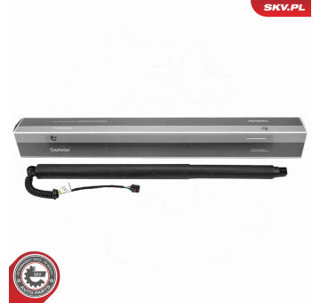 Elektromotor, zadní dveře ESEN SKV 52SKV253