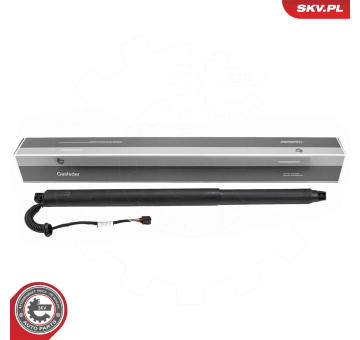 Elektromotor, zadní dveře ESEN SKV 52SKV254