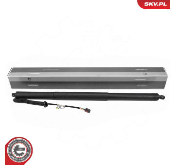 Elektromotor, zadní dveře ESEN SKV 52SKV257