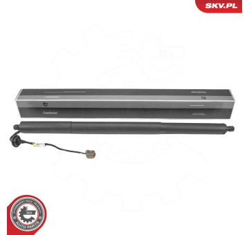 Elektromotor, zadní dveře ESEN SKV 52SKV268
