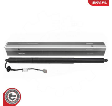 Elektromotor, zadní dveře ESEN SKV 52SKV269