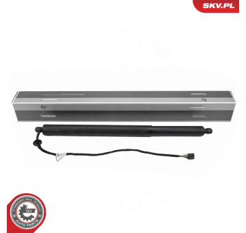 Elektromotor, zadní dveře ESEN SKV 52SKV281