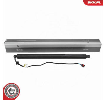 Elektromotor, zadní dveře ESEN SKV 52SKV290