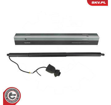 Elektromotor, zadní dveře ESEN SKV 52SKV891