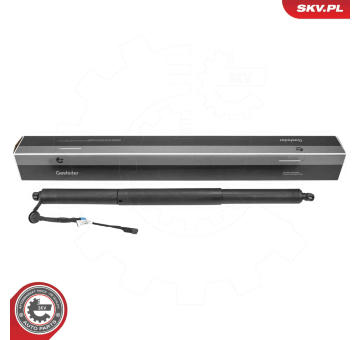 Elektromotor, zadní dveře ESEN SKV 52SKV972