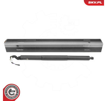 Elektromotor, zadní dveře ESEN SKV 52SKV974