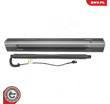 Elektromotor, zadní dveře ESEN SKV 52SKV976