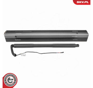 Elektromotor, zadní dveře ESEN SKV 52SKV978