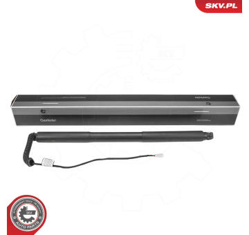 Elektromotor, zadní dveře ESEN SKV 52SKV979