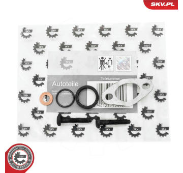 Halter, Einspritzventil ESEN SKV 53SKV188
