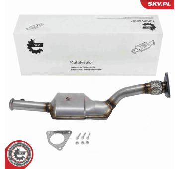 Katalyzátor ESEN SKV 62SKV131
