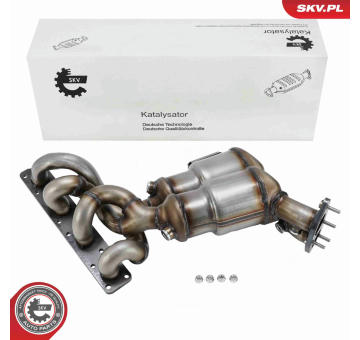 Katalyzátor ESEN SKV 62SKV132