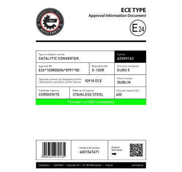 Katalyzátor ESEN SKV 62SKV163
