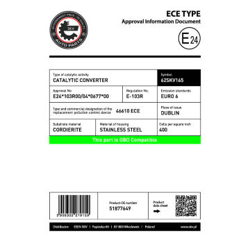 Katalyzátor ESEN SKV 62SKV165