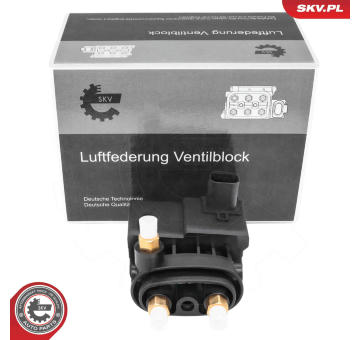 Ventil, pneumatický systém ESEN SKV 93SKV820