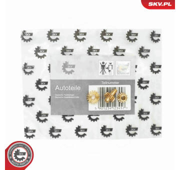 Rozhraní pro multimédia ESEN SKV 97SKV132