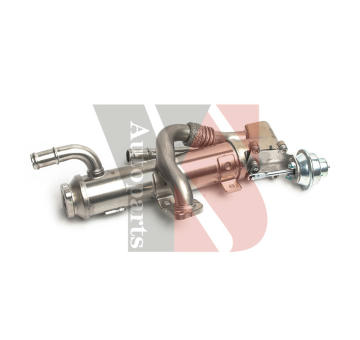 AGR - Ventil YSPARTS EGR129C