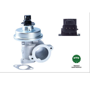 AGR - Ventil NTK 90639