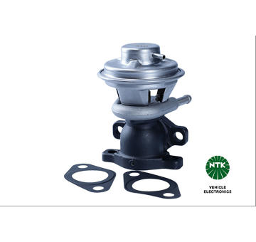 AGR - Ventil NTK 91346