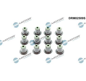 Sada těsnění, dřík ventilu Dr.Motor Automotive DRM02509S