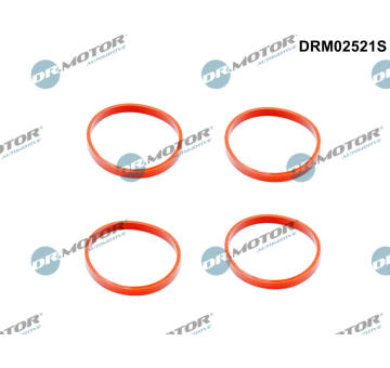 Sada těsnění, koleno sacího potrubí Dr.Motor Automotive DRM02521S