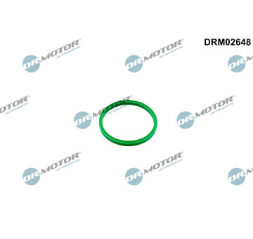 Tesnici krouzek, hadice plniciho vzduchu Dr.Motor Automotive DRM02648