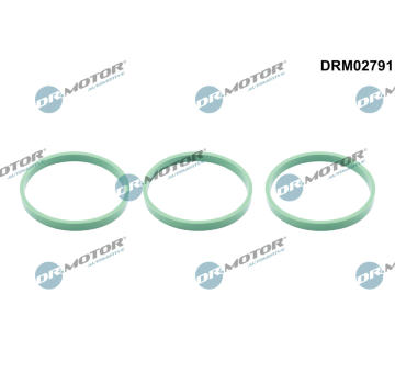 Těsnění, hrdlo škrtící klapky Dr.Motor Automotive DRM02791