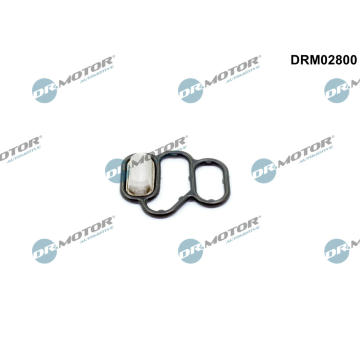 Těsnění, seřízení vačkového hřídele Dr.Motor Automotive DRM02800