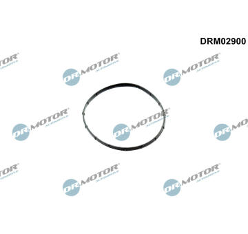 Těsnění, vakuové čerpadlo Dr.Motor Automotive DRM02900
