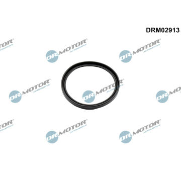 Těsnící kroužek, hadice plnicího vzduchu Dr.Motor Automotive DRM02913
