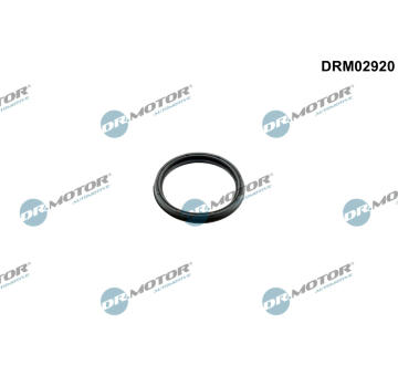 Těsnící kroužek, hadice plnicího vzduchu Dr.Motor Automotive DRM02920