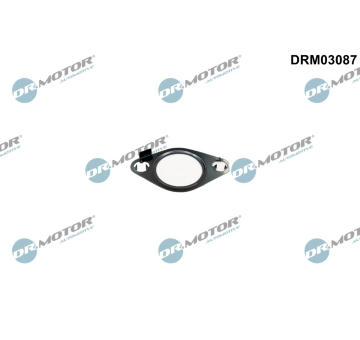 Těsnění, AGR ventil Dr.Motor Automotive DRM03087