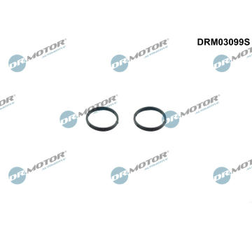 Súprava tesnení, čerpadlo oleja Dr.Motor Automotive DRM03099S