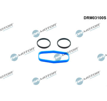 Súprava tesnení, čerpadlo oleja Dr.Motor Automotive DRM03100S