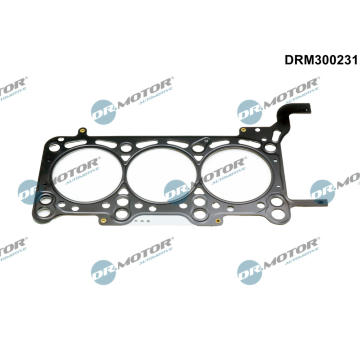 Tesnenie hlavy valcov Dr.Motor Automotive DRM300231