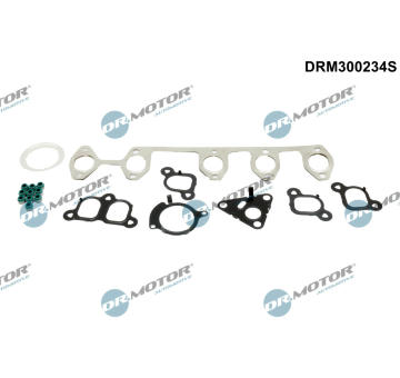Sada těsnění, hlava válce Dr.Motor Automotive DRM300234S