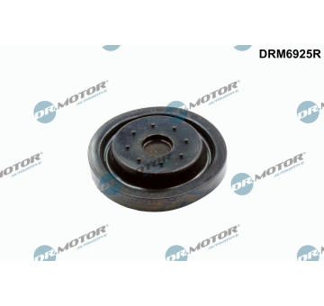 Reparatursatz, Kurbelgehäuseentlüftung Dr.Motor Automotive DRM6925R