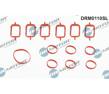 Sada těsnění, koleno sacího potrubí Dr.Motor Automotive DRM0110SL