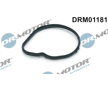 Těsnění, termostat Dr.Motor Automotive DRM01181