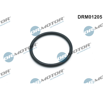 Těsnění, vodní čerpadlo Dr.Motor Automotive DRM01205