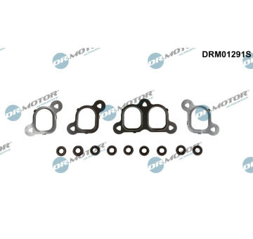 Sada těsnění, koleno sacího potrubí Dr.Motor Automotive DRM01291S