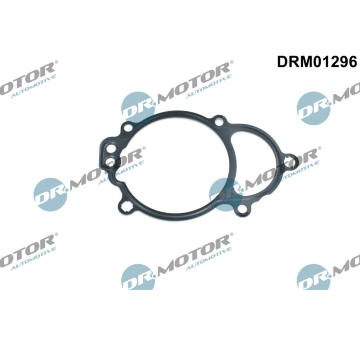 Těsnění, seřízení vačkového hřídele Dr.Motor Automotive DRM01296