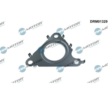 Tesneni, AGR ventil Dr.Motor Automotive DRM01329