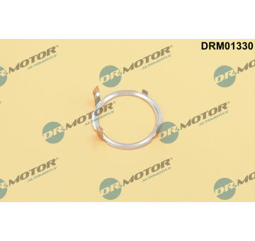 Tesneni, AGR ventil Dr.Motor Automotive DRM01330