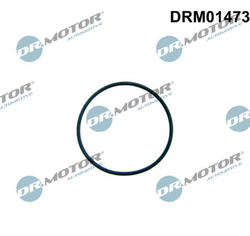 Těsnění, palivové čerpadlo Dr.Motor Automotive DRM01473