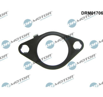 Tesneni, AGR ventil Dr.Motor Automotive DRM01706