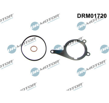 Těsnění, vakuové čerpadlo Dr.Motor Automotive DRM01720