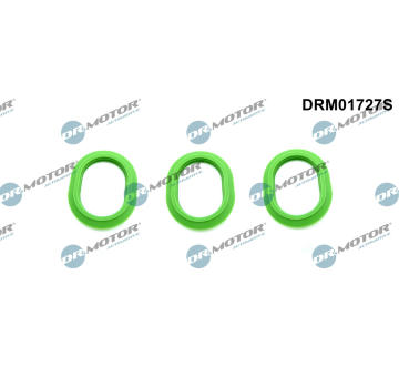 Sada těsnění, koleno sacího potrubí Dr.Motor Automotive DRM01727S